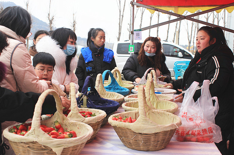 ��ݮ�h��c�´� | ���f�(zh��n)��ɽ�ڲ�ݮ��ժ��Ȥ���������w�e����ζ